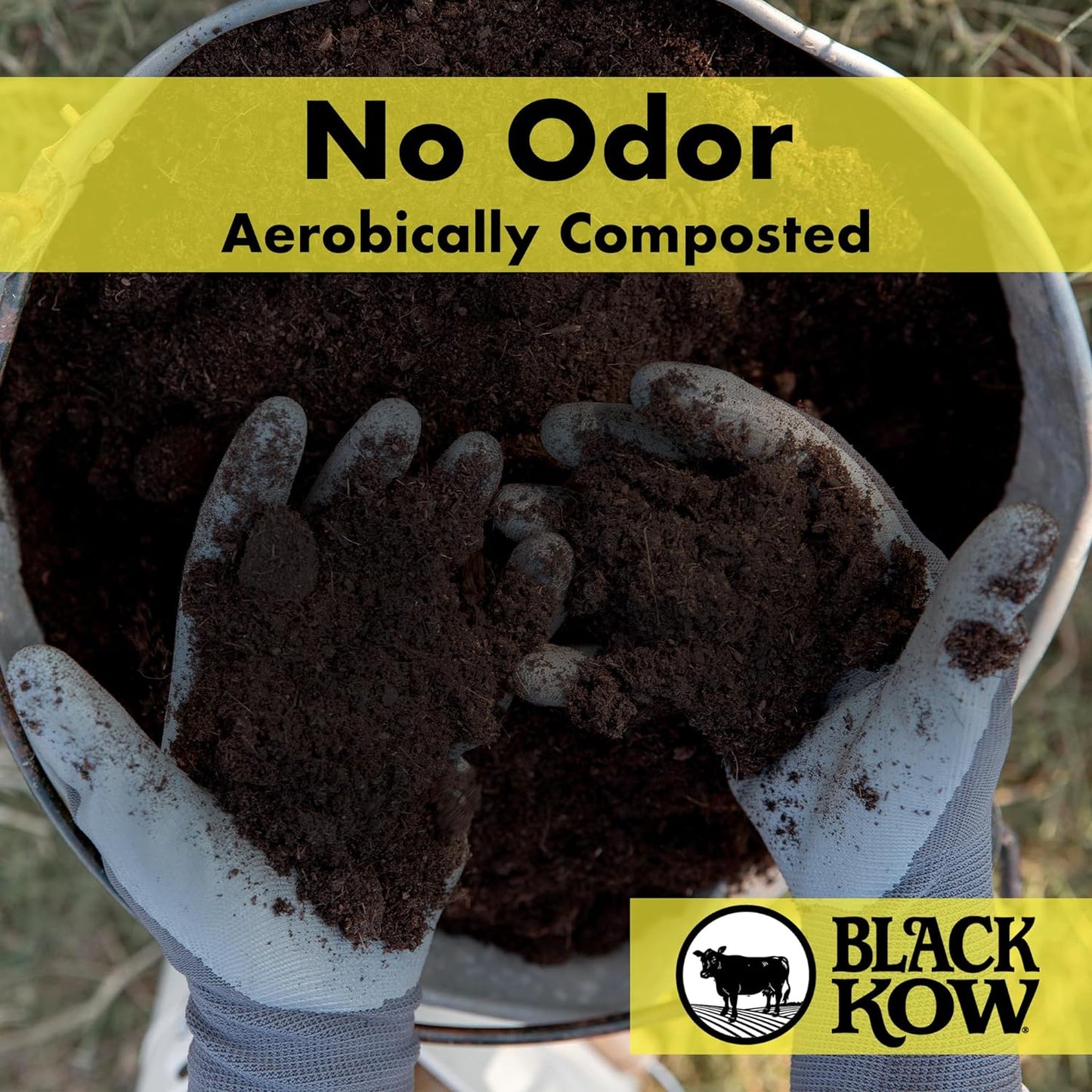 Black Kow Nitrogen Phosphate Composted Cow Manure Fertilizer for Soil, Flowers, Potted Plants, Raised Beds, and Compost Tea, (8 qt)