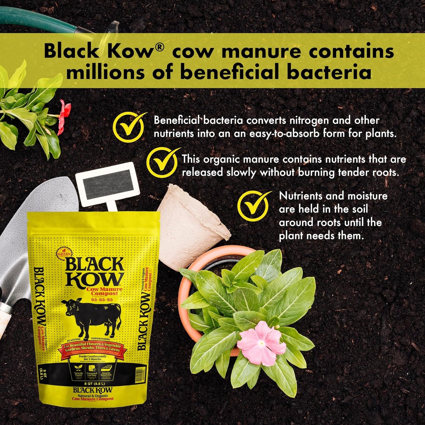 Black Kow Nitrogen Phosphate Composted Cow Manure Fertilizer for Soil, Flowers, Potted Plants, Raised Beds, and Compost Tea, (8 qt)