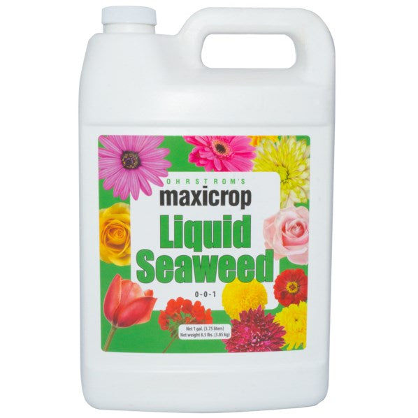 Maxicrop Liquid Seaweed 0-0-1 - 1 gal Bottle