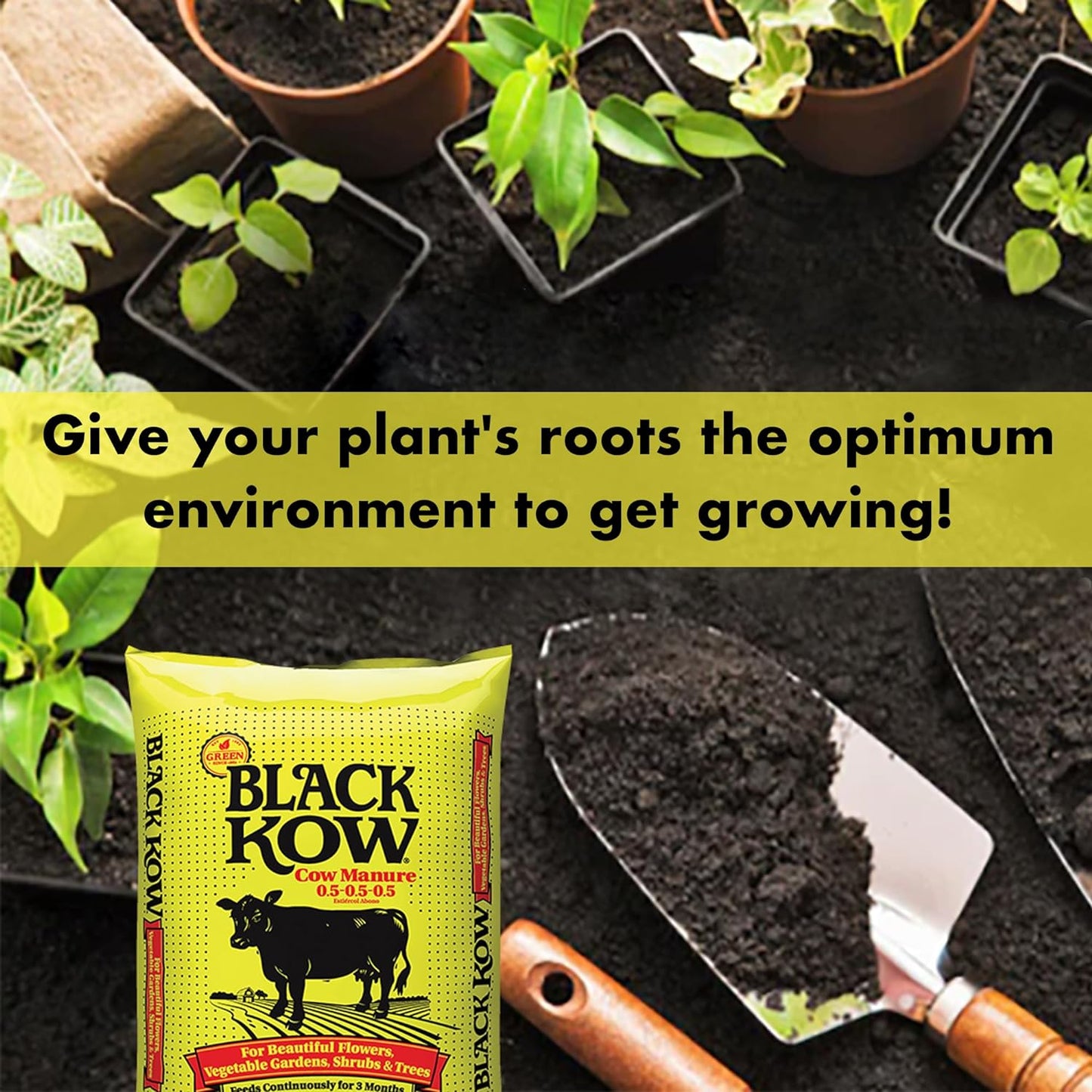 Black Kow Nitrogen Phosphate Composted Cow Manure Fertilizer for Soil, Flowers, Potted Plants, Raised Beds, and Compost Tea, (8 qt)